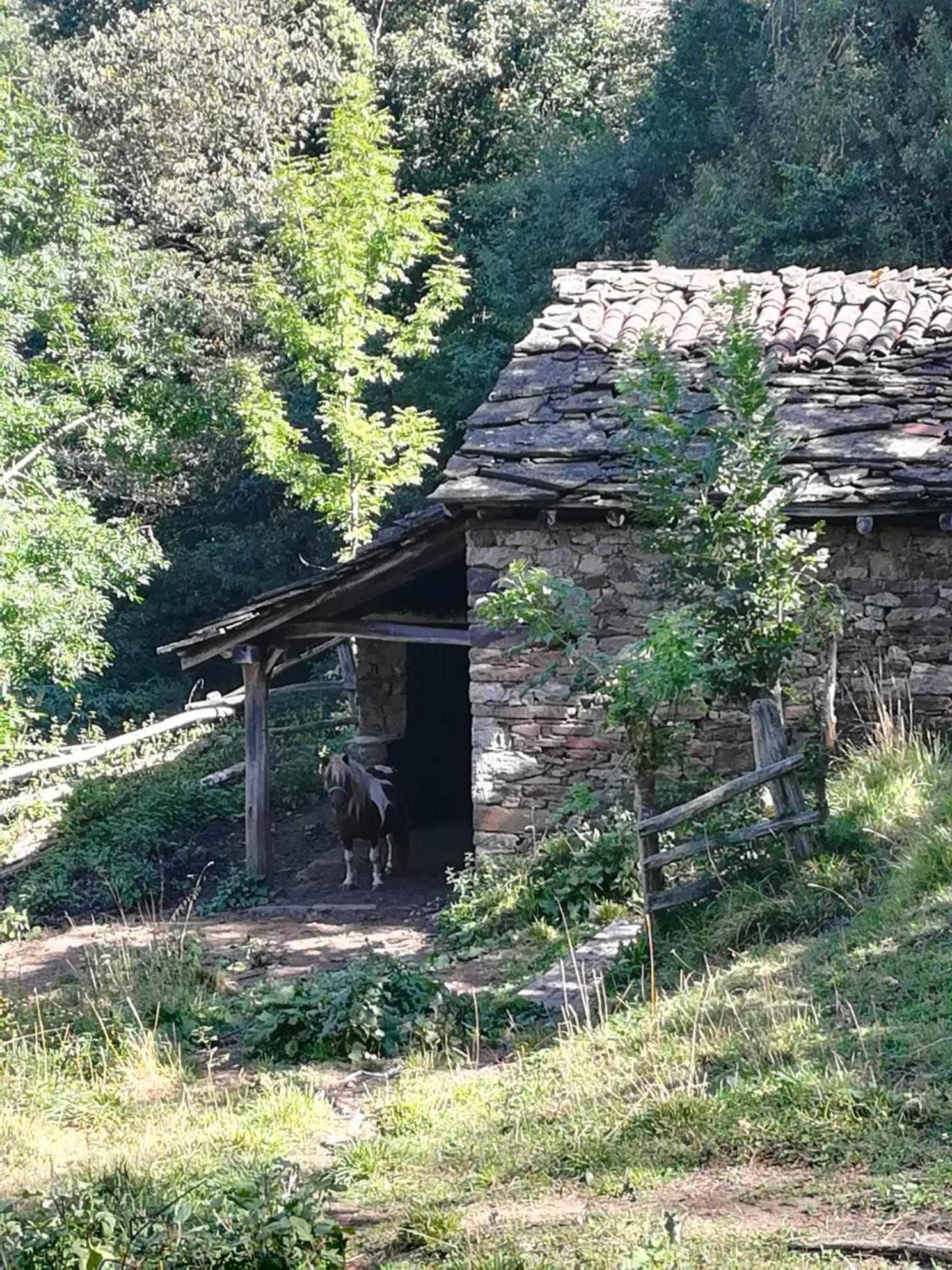 Encanto Asturiano Aller Extérieur photo