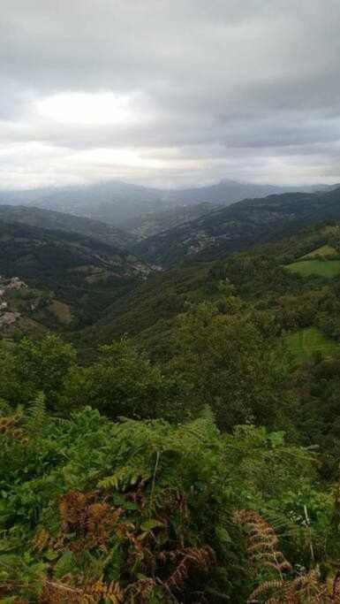 Encanto Asturiano Aller Extérieur photo